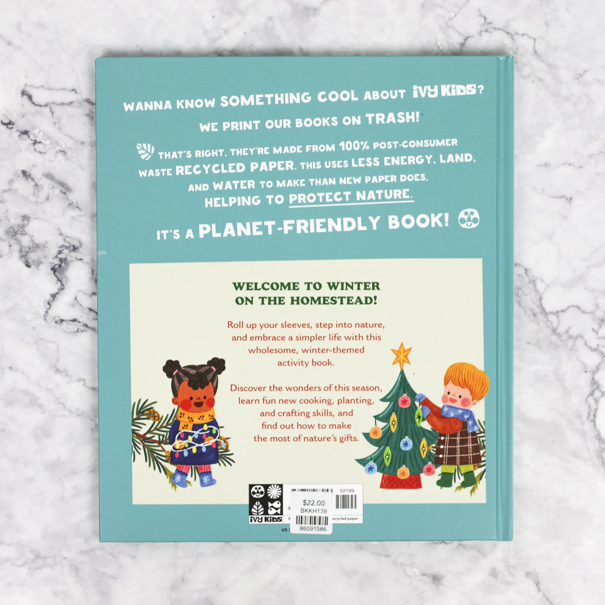 A Winter Treasury of Recipes, Crafts, and Wisdom Book