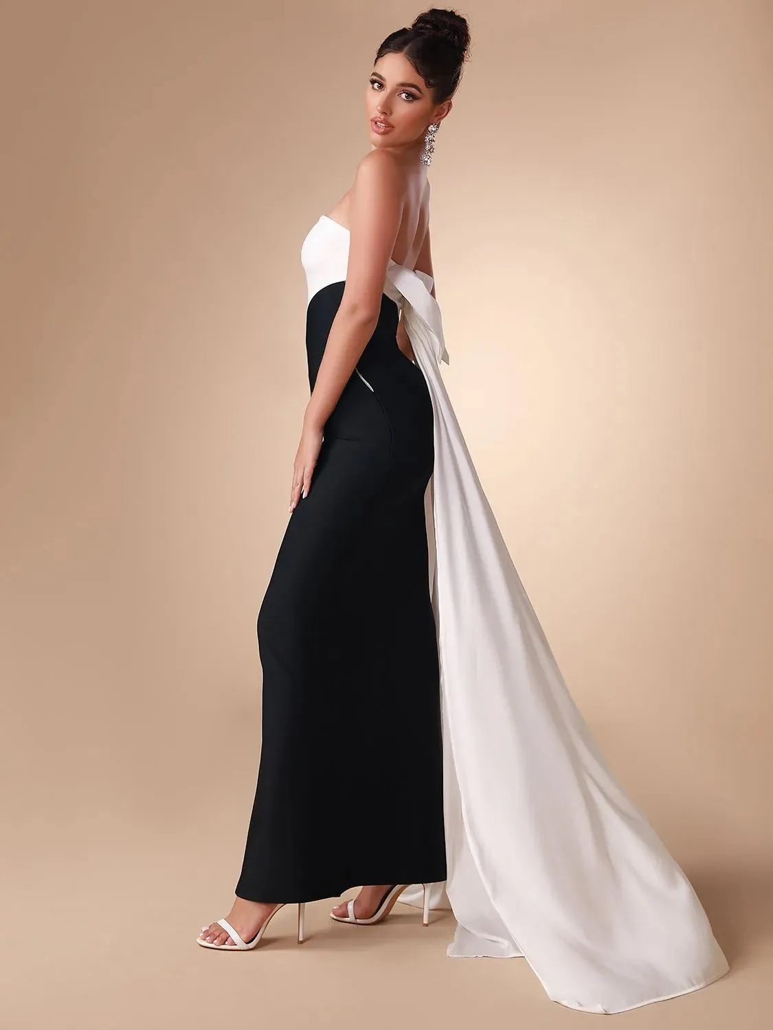 Color Block Strapless Back Bow Dress