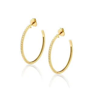 Foundation Hoop Earrings