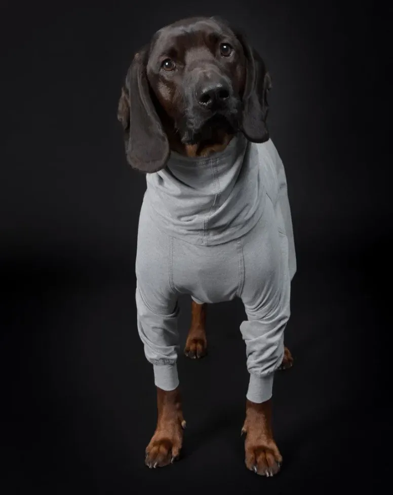 Recovery Overall for Dogs