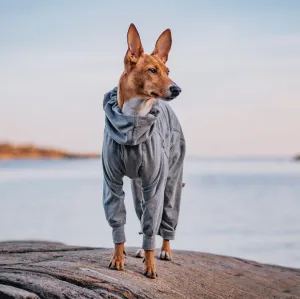 Recovery Overall for Dogs